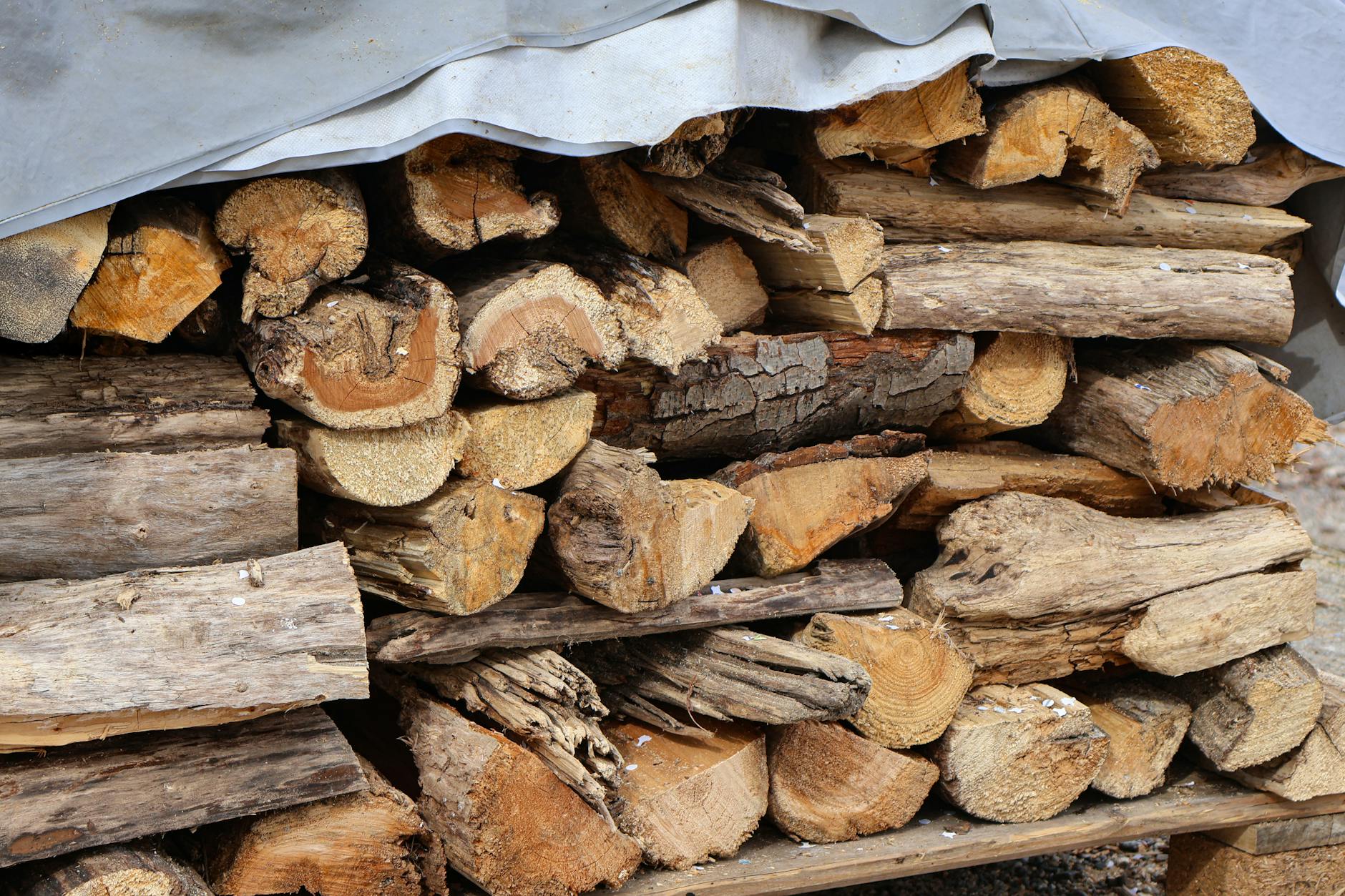 Dieta (01.10.2024): Jesienna kuchnia: Przepisy na rozgrzewające dania