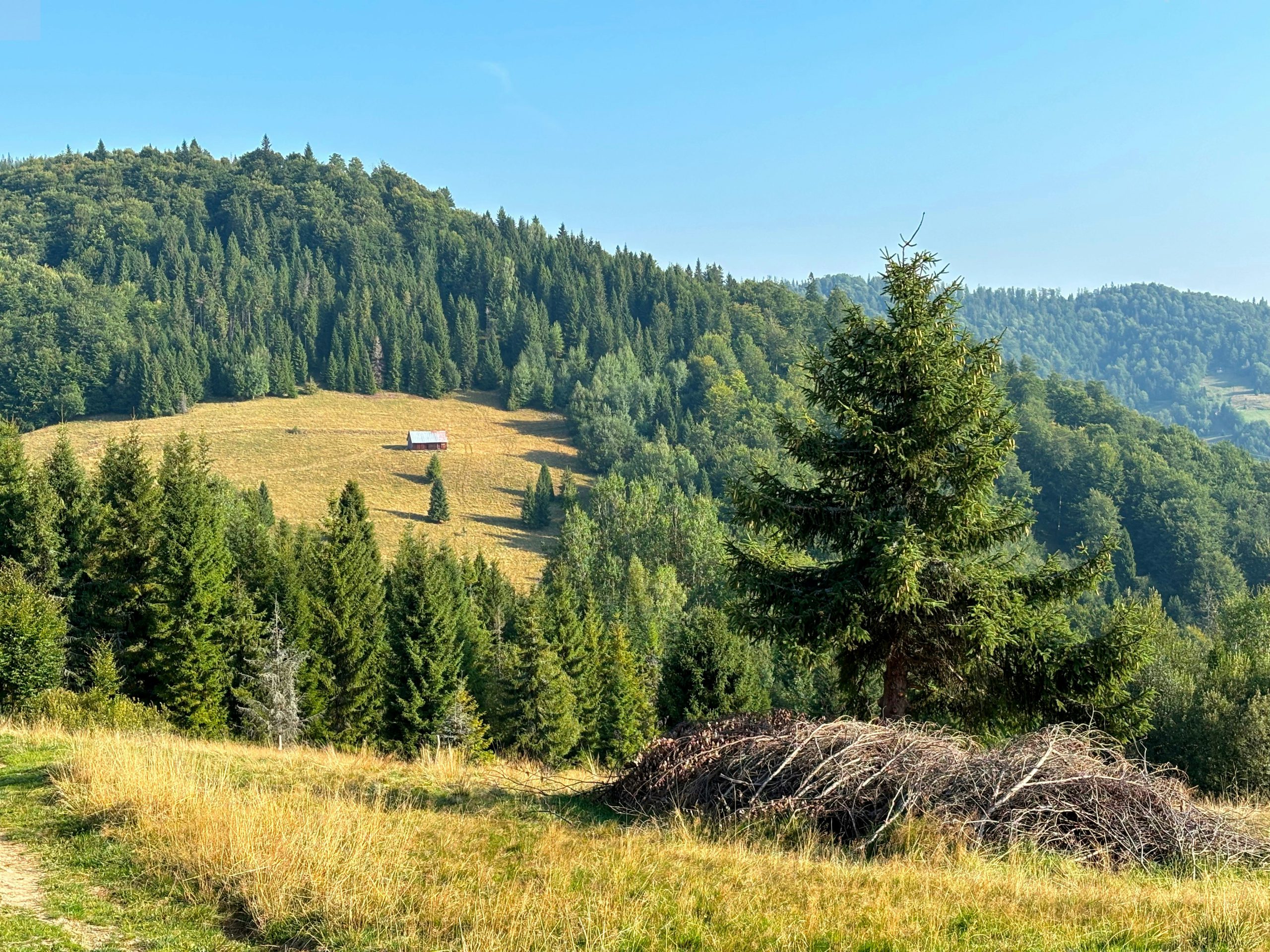 Agroturystyka w Gorcach — noclegi blisko przyrody i lokalnych atrakcji