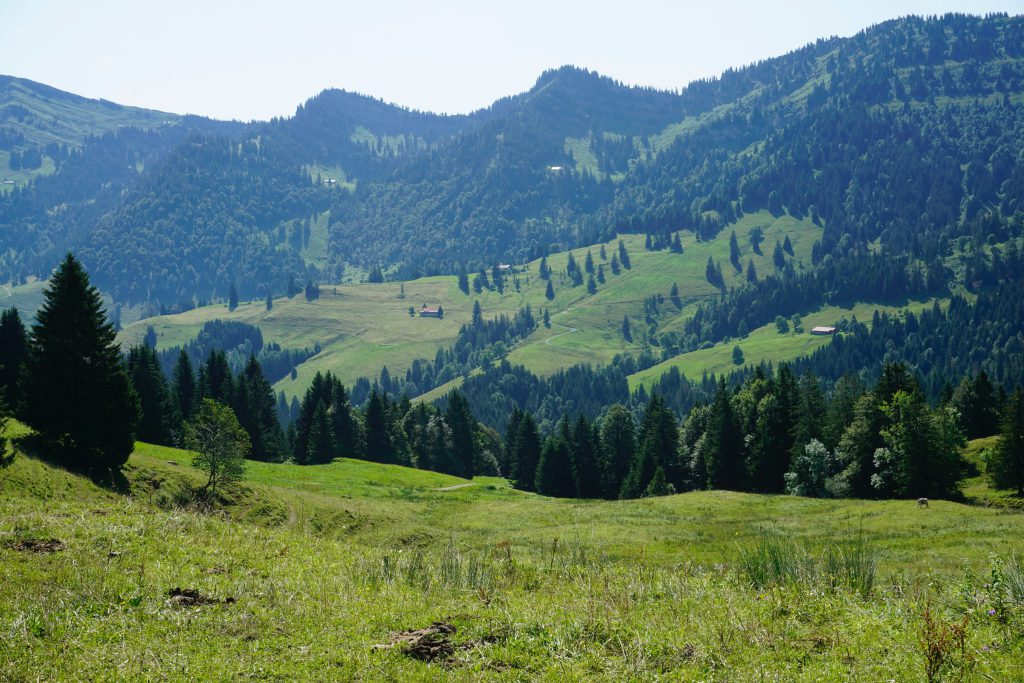 zdjęcie gór - Gorce